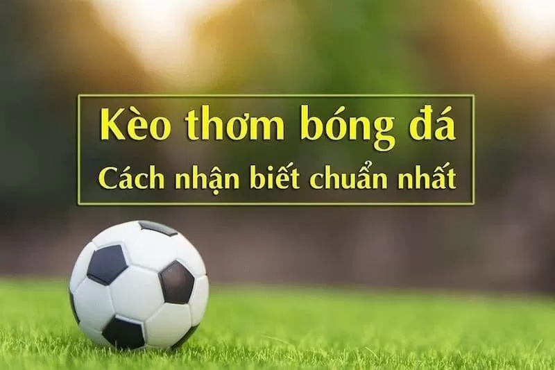 Những điều người chơi cần nắm khi chọn k&egrave;o ngon ăn